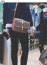 #고야드 [GOYARD] 수입프리미엄급 고야드 벨베데르 백 MM 신상 입고💢 #태그 #가방 #4586