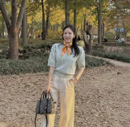 에VVV 페가수스 방도