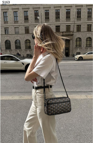 #고야드 [GOYARD] 수입프리미엄급 고야드 카페르 백 PM 신상 입고💢 #태그 #가방 #5163