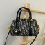 💕 디* 17 나노 백